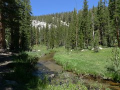 MineralKingLoop 184
